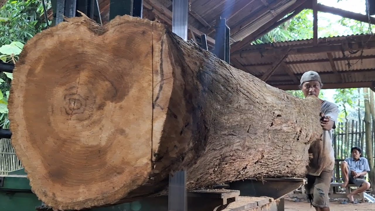 Super teak wood the material for the Sultan's joglo house