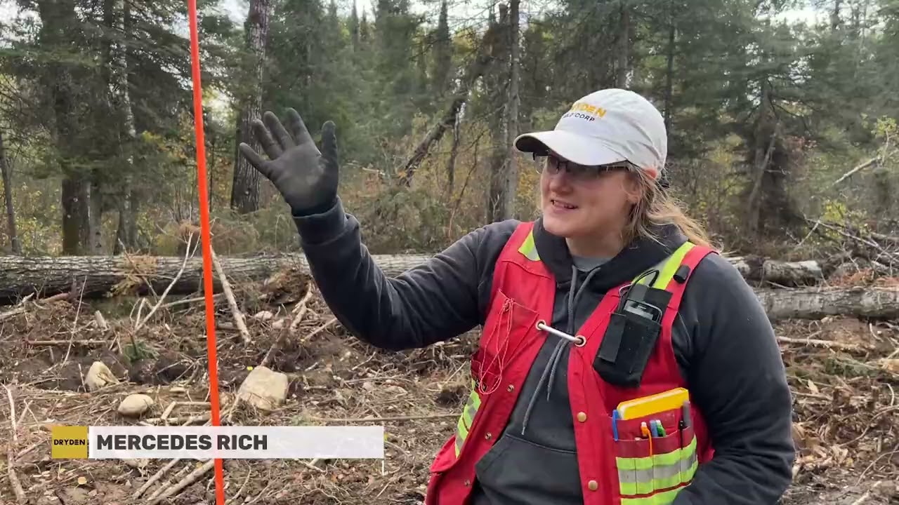 Why Dryden Gold Corp.?
