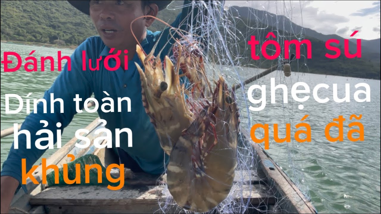 Đánh lưới dính tôm sú ghẹ cua toàn hàng khủng 
