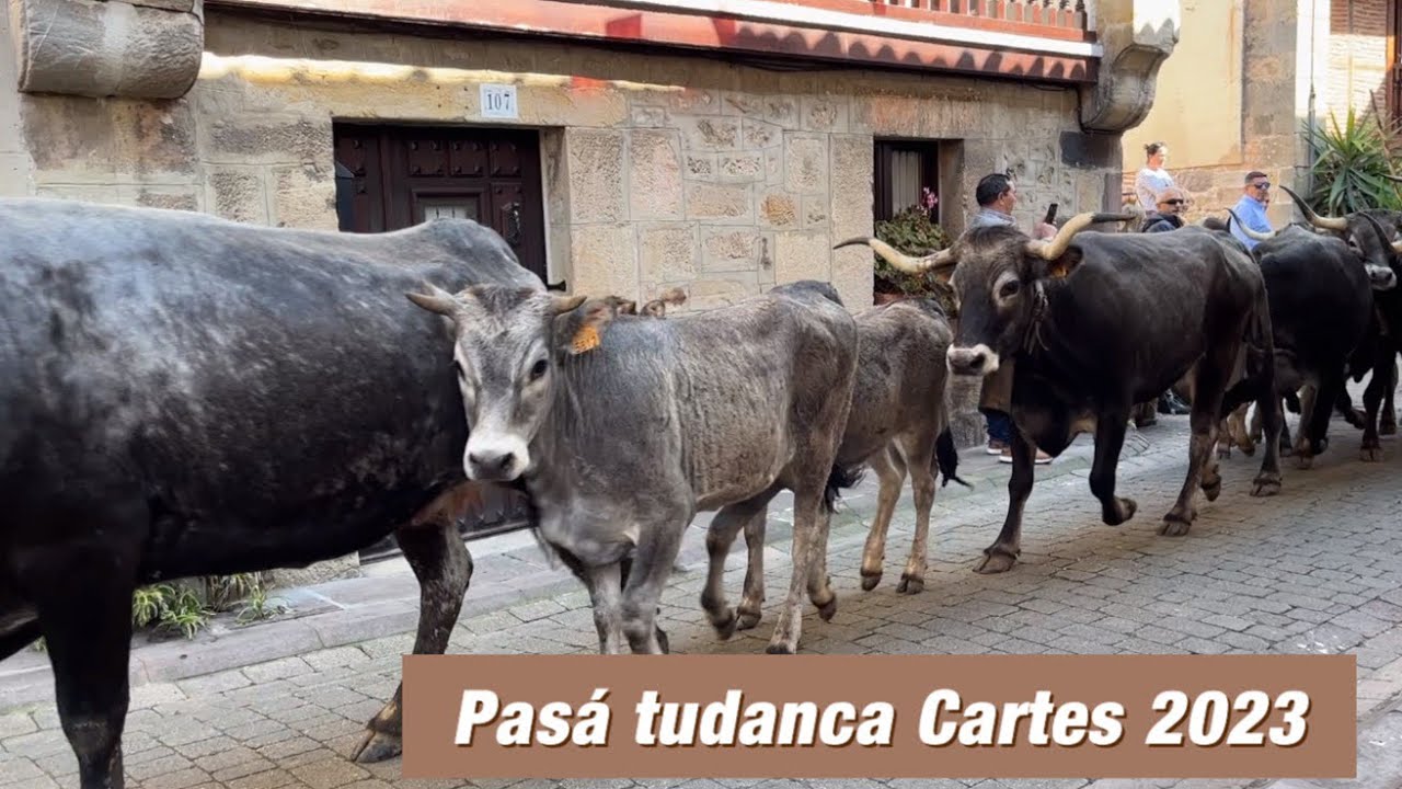 Pasá Tudanca Cartes 2023
