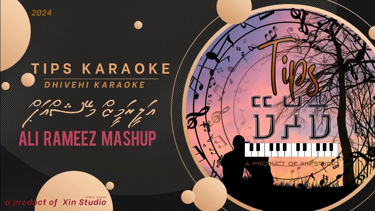 Ali Rameez MASHUP DUET by Tips karaoke