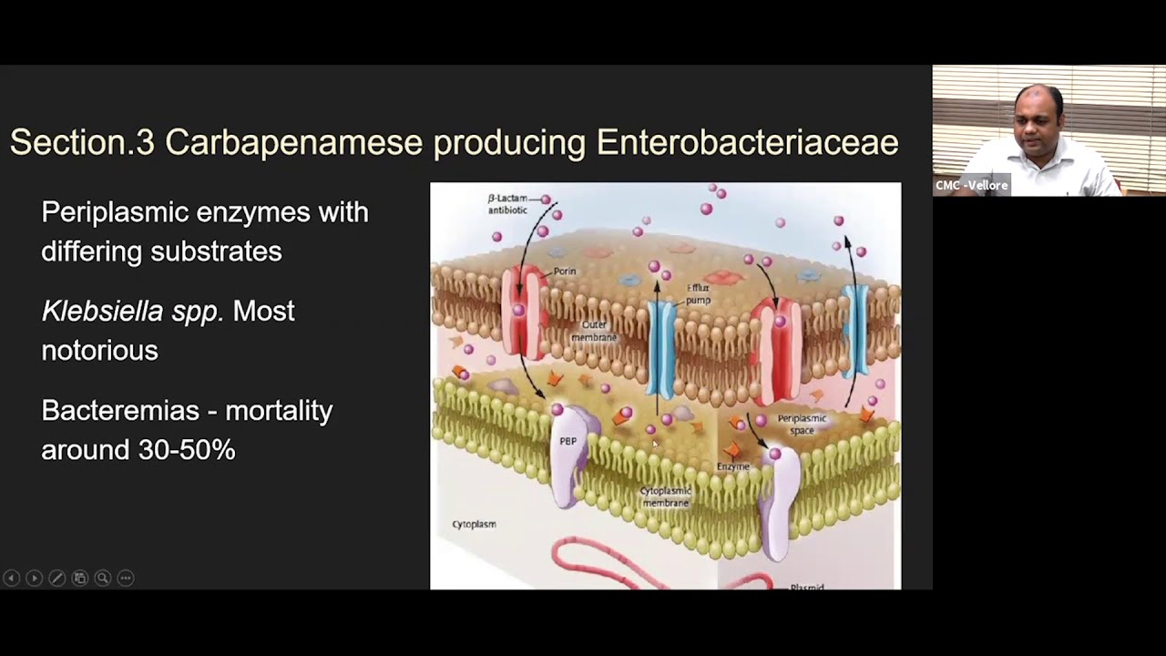 Treatment of serious drug resistant bacterial infections- Dr Abi Manesh