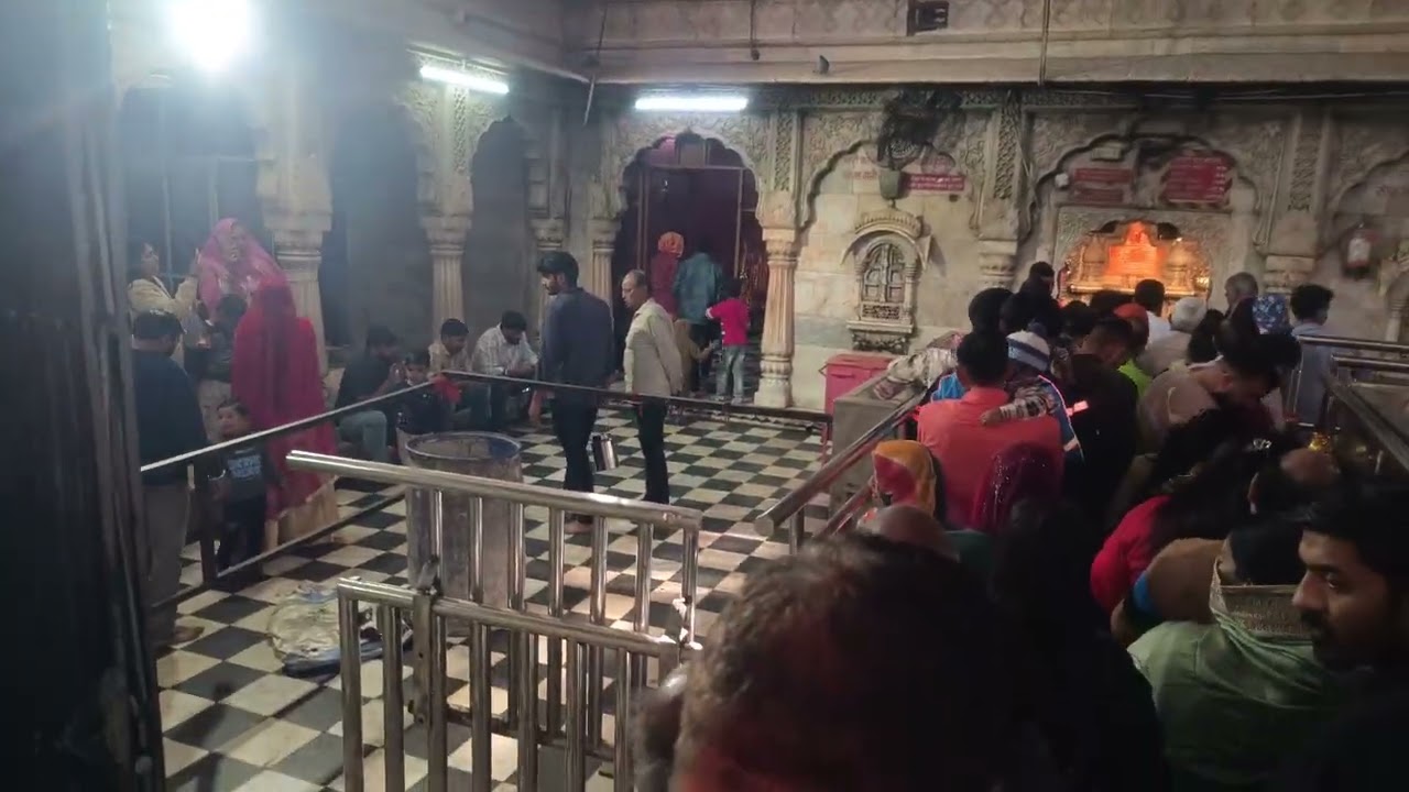 करणी माता के मंदिर के अंदर के भव्य दर्शन देखो #rajasthan #karni Mata#deshnok#Bikaner#reels #viral 