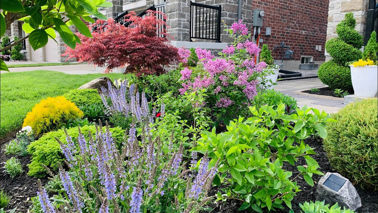 Tracy’s Intimate Spring Garden Tour // A Tribute to my Viewers 🙏💚🪴 // End of May Garden Tour 2021