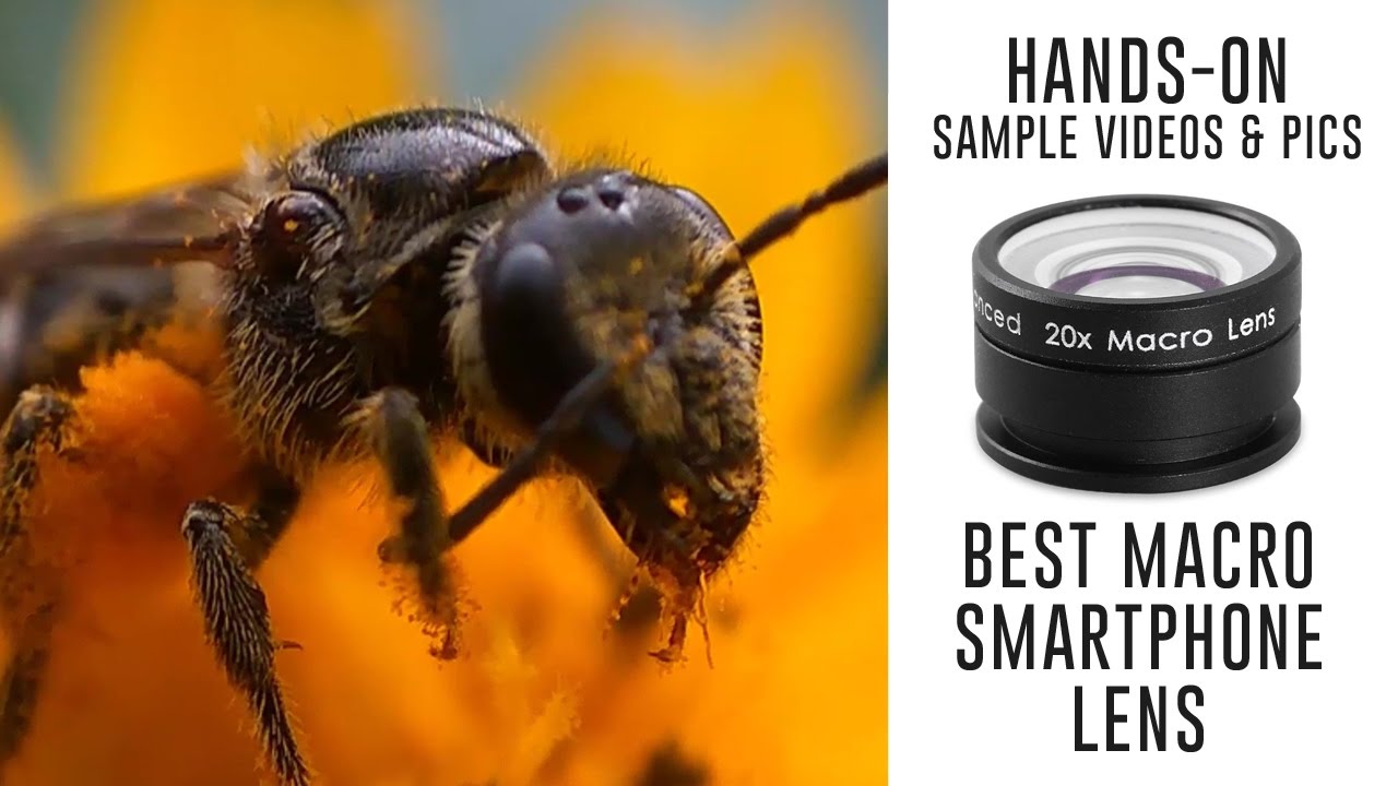 Best Macro Lens for Smartphones - Sample Videos Photos with Redmi Note 3 Camera