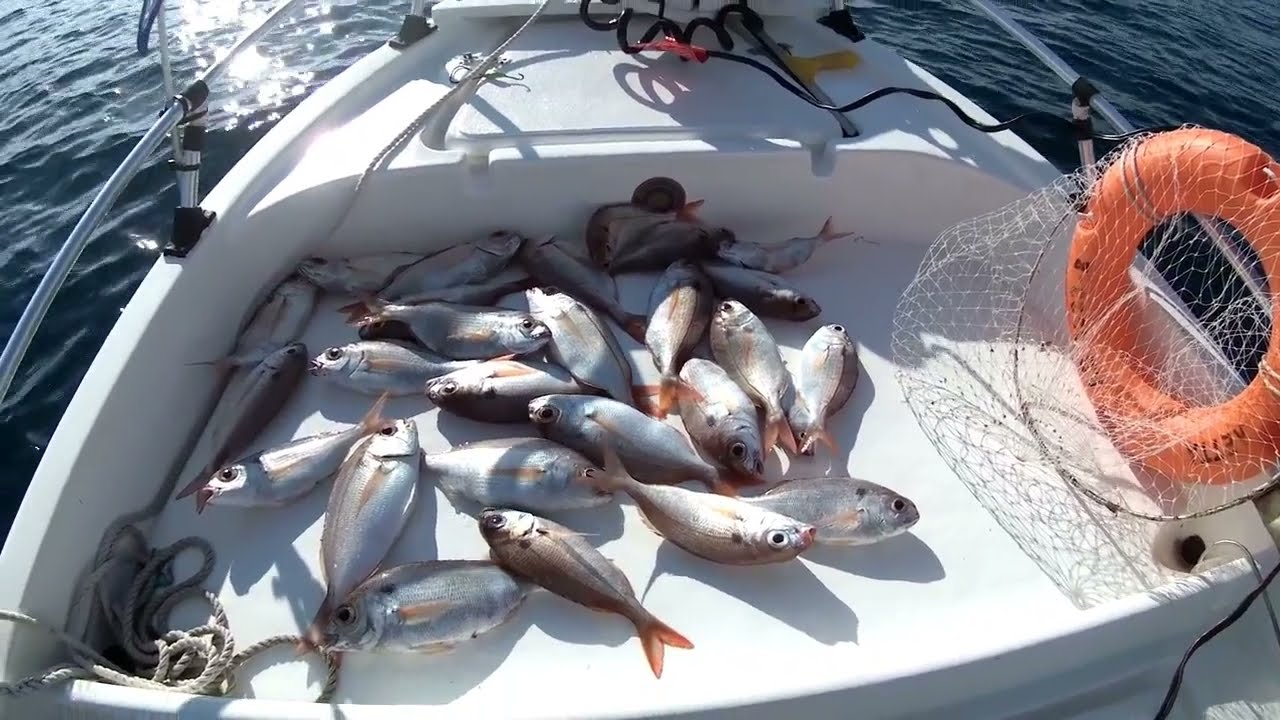 ΨΑΡΕΜΑ ΣΤΑ ΒΑΘΙΑ  ΜΠΑΛΑΔΕΣ / DEEP  FISHING
