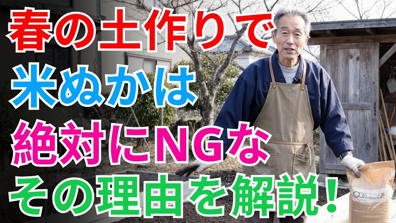 【今すぐやめて！】春野菜の土作りで米ぬかを入れると損する理由