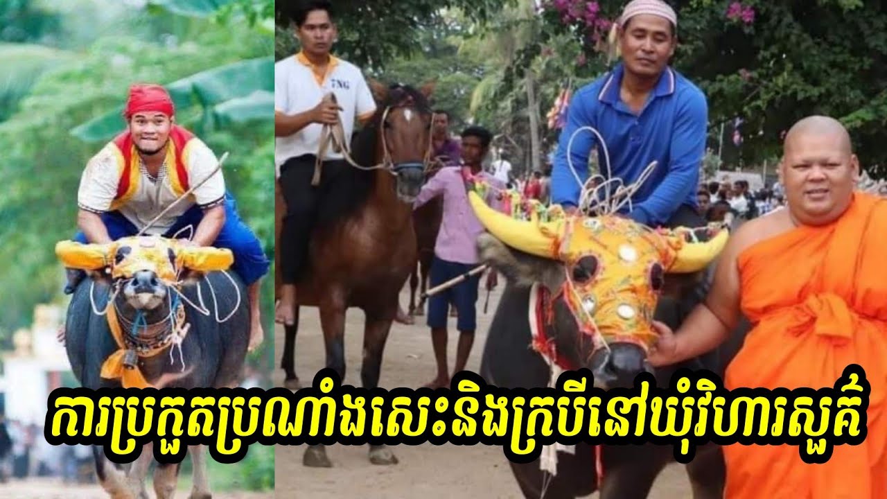 ការប្រកួត ប្រណាំងសេះ​ និងក្របី​ នៅឃុំវិហារសួគ៌