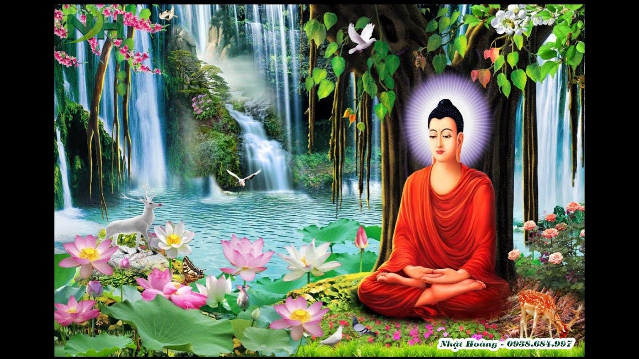 Lòng tôn kính phật vô biên . TT Thích Chân Quang thuyết giảng