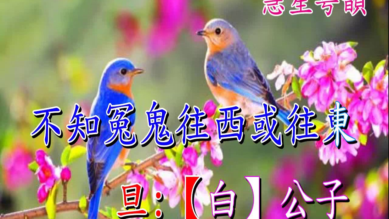 十二欄杆十二釵    純音樂