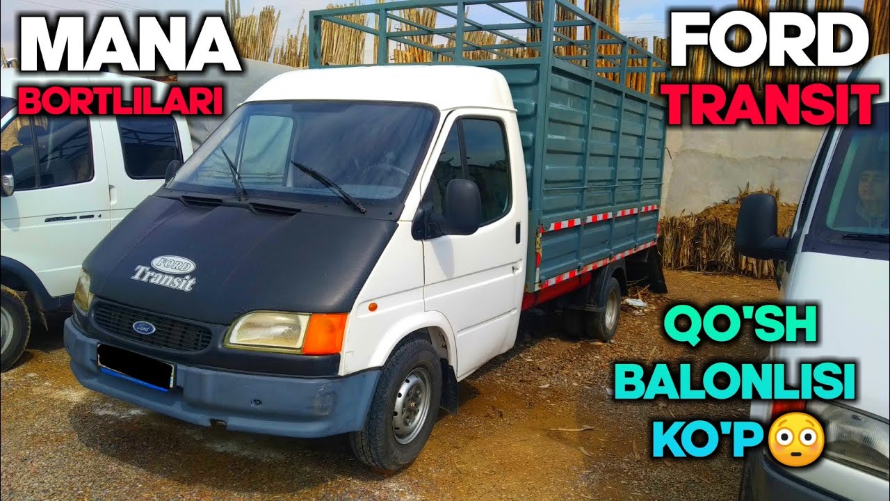 МАНА ФОРД ТРАНЗИТЛАР! ҚЎШ БАЛОНИ КЎП ЧИҚДИ👍 БУНАҚА БОЗОР КАМДАН КАМ БЎЛАДИ