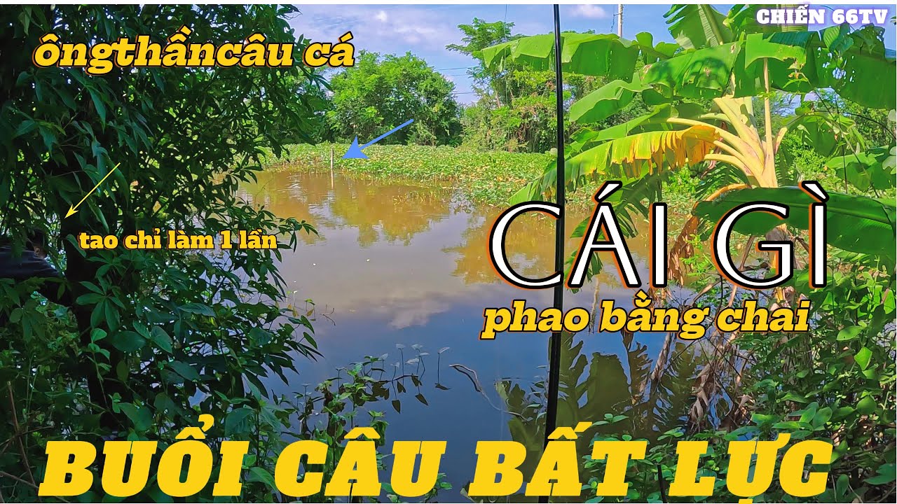 MỘT NGÀY ĐI CÂU CÁ BẤT ỔN