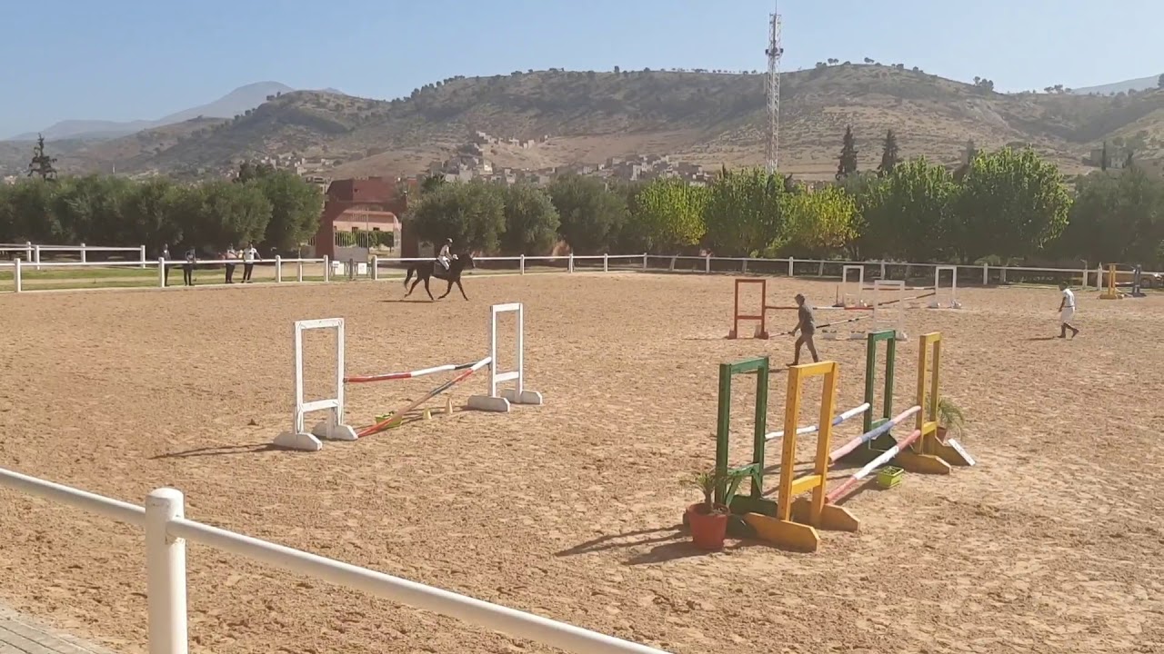 Equitation Concours Saut d'Obstacles