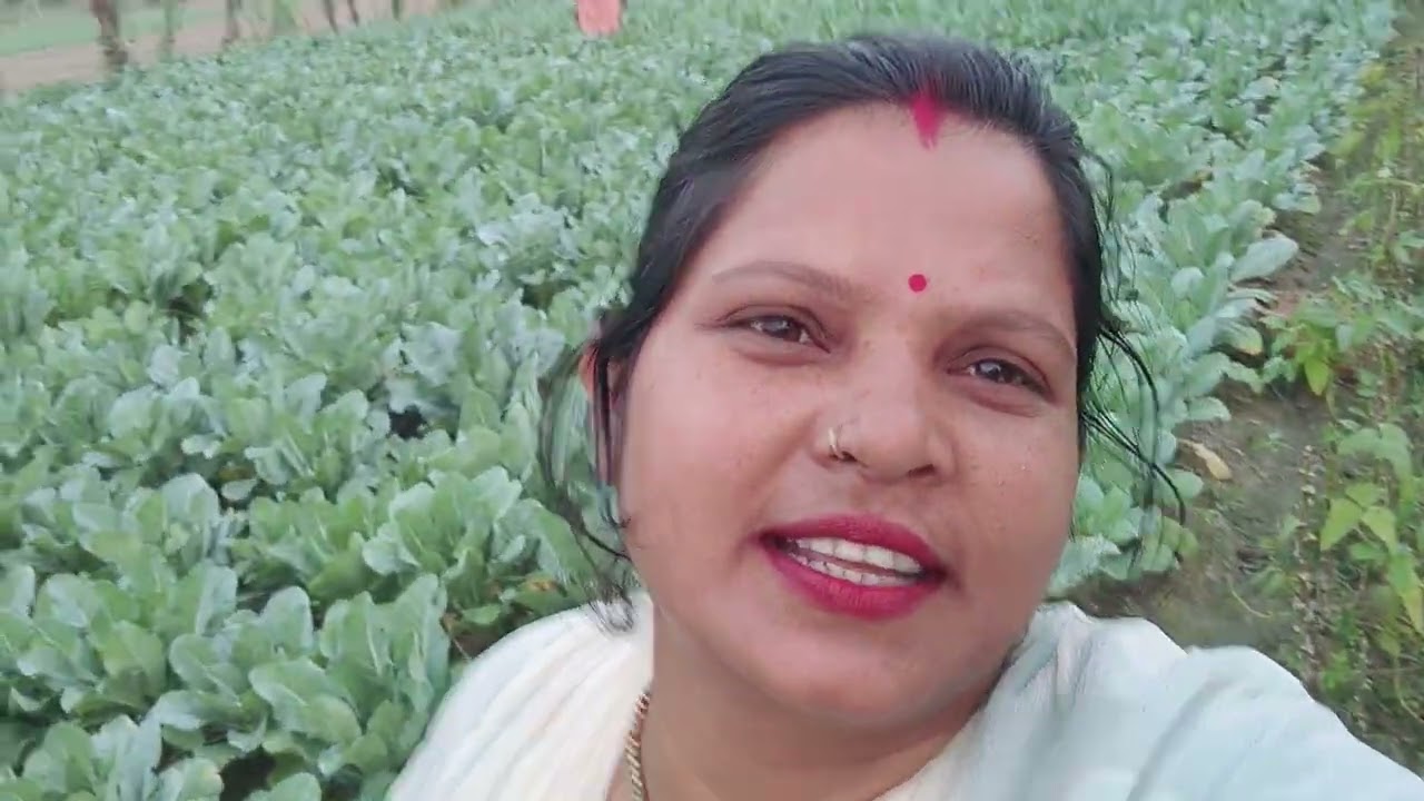 Khet Me Sabji Todte Hue 🌱 | Fresh Harvesting Video | सब्जी की फसल तोड़ना | Vegetable | किसान vlog