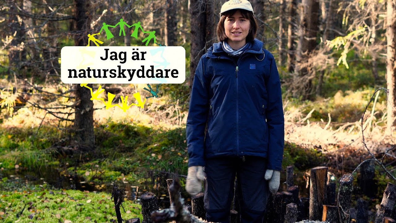 Hur återställa en våtmark?