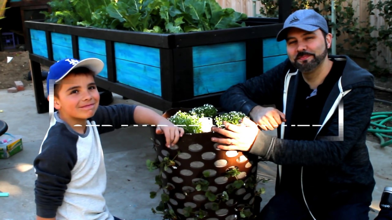 Build a strawberry tower out of a laundry basket!