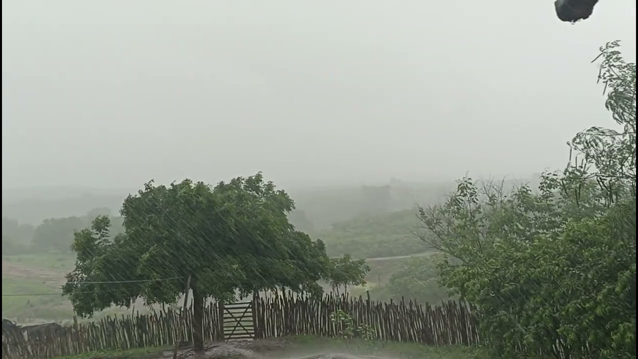 CHUVA CHEGOU BEM FORTE NO SERTAO