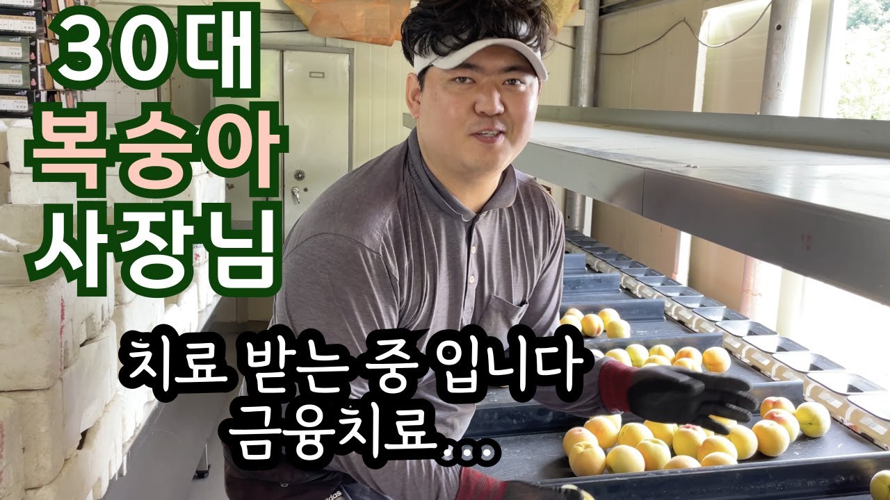 복숭아 팔아서 금융치료 받는다는 30대 사장님