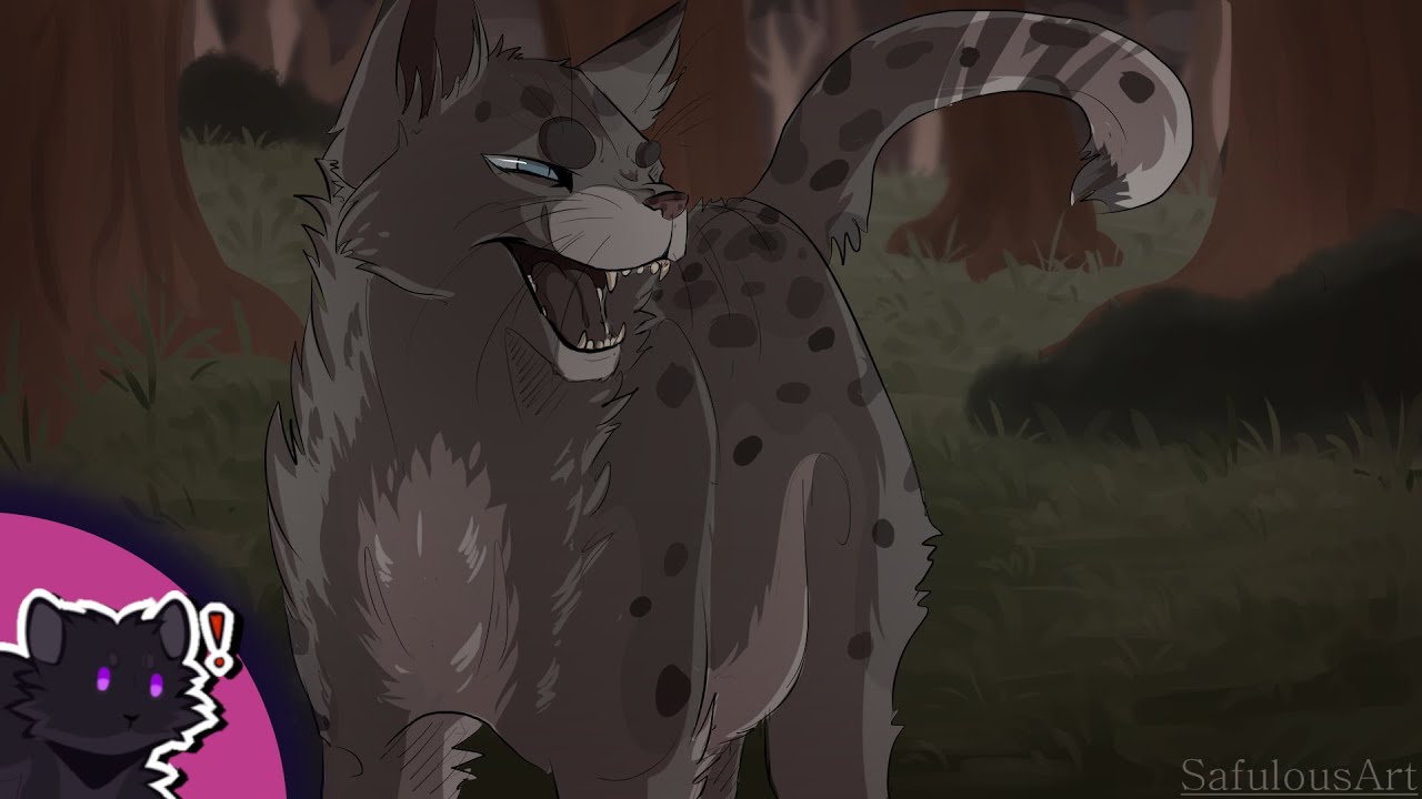 Aschenpelz Geschichte (Zusammenfassung)  | Warrior Cats
