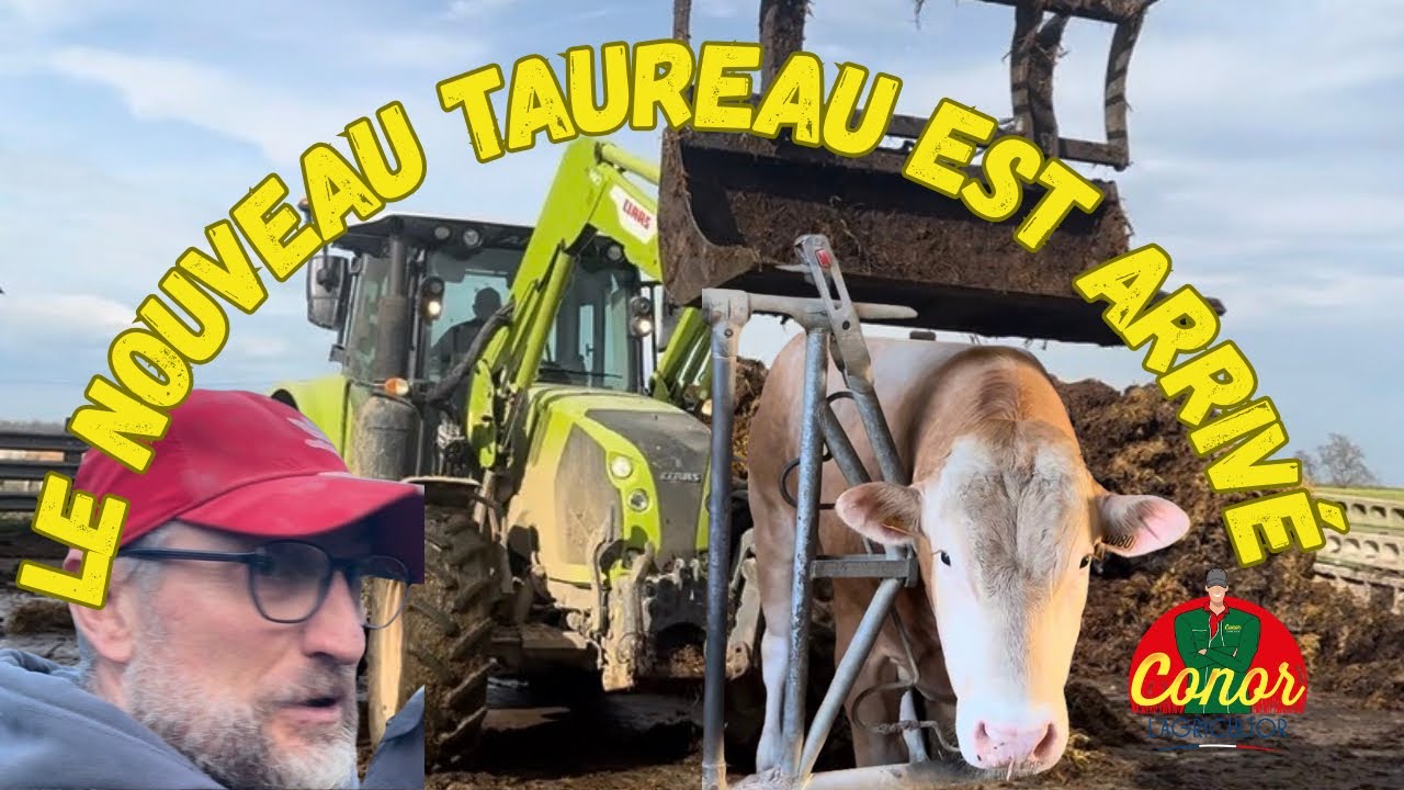 ARRIVÉE DU NOUVEAU TAUREAU