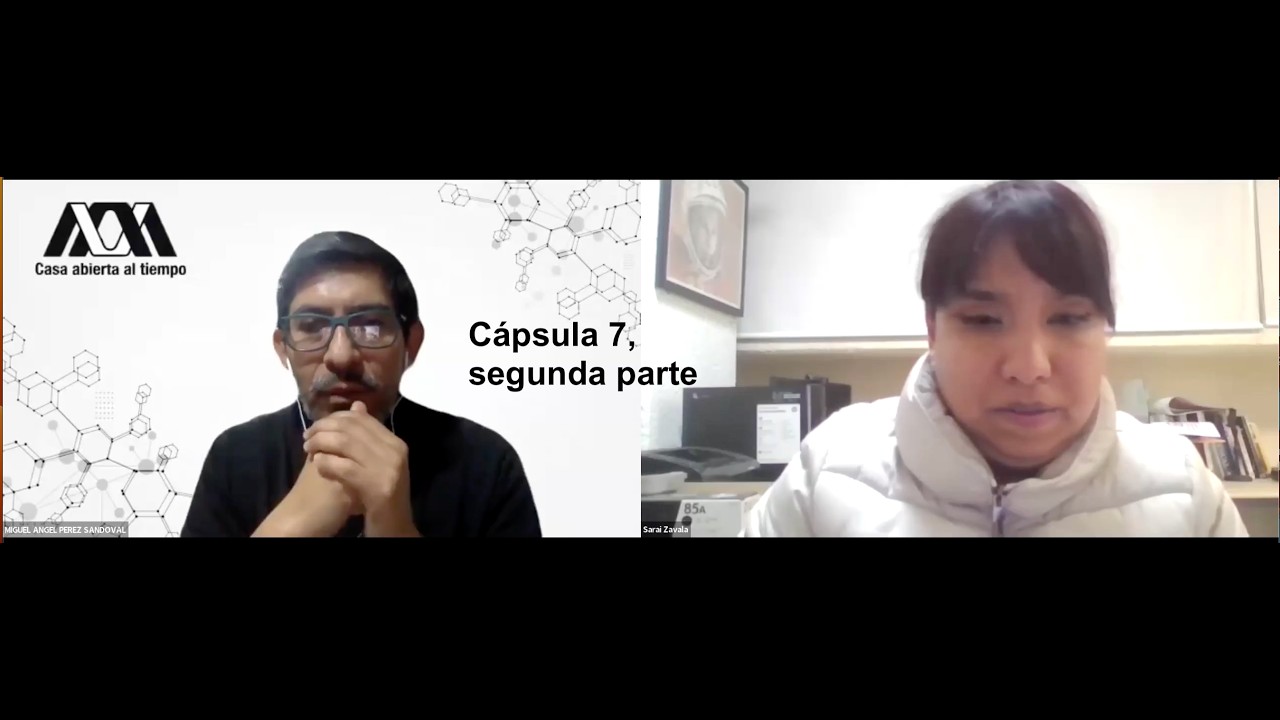 Cápsulas BIM: Cápsula BIM 7, 2da parte
