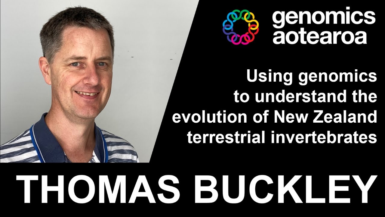 Thomas Buckley: Using Genomics to Understand the Evolution of New Zealand Terrestrial Invertebrates