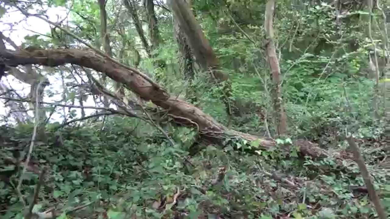 East Cowes Landslide. 2014  - The Whole picture - Isle Of Wight