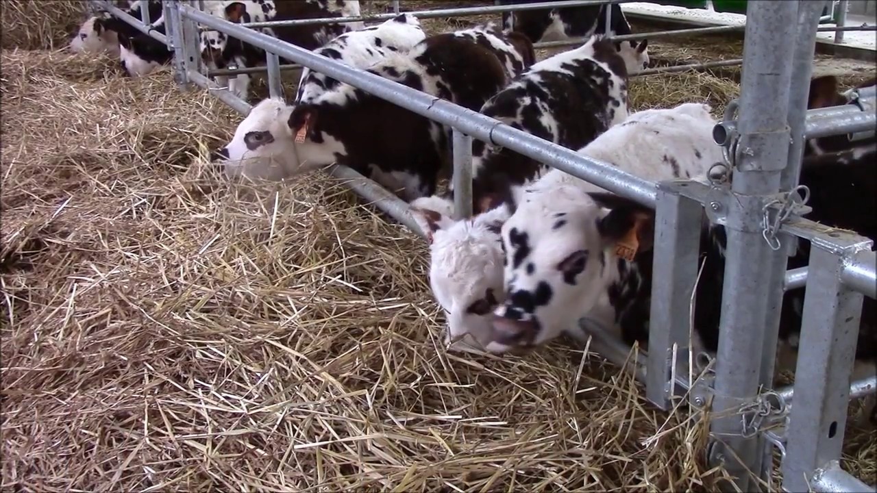 Présentation Nurserie par la STE