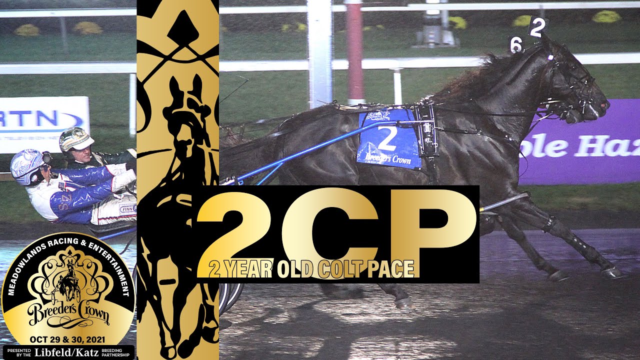 2021 Breeders Crown - Monte Miki - 2CP