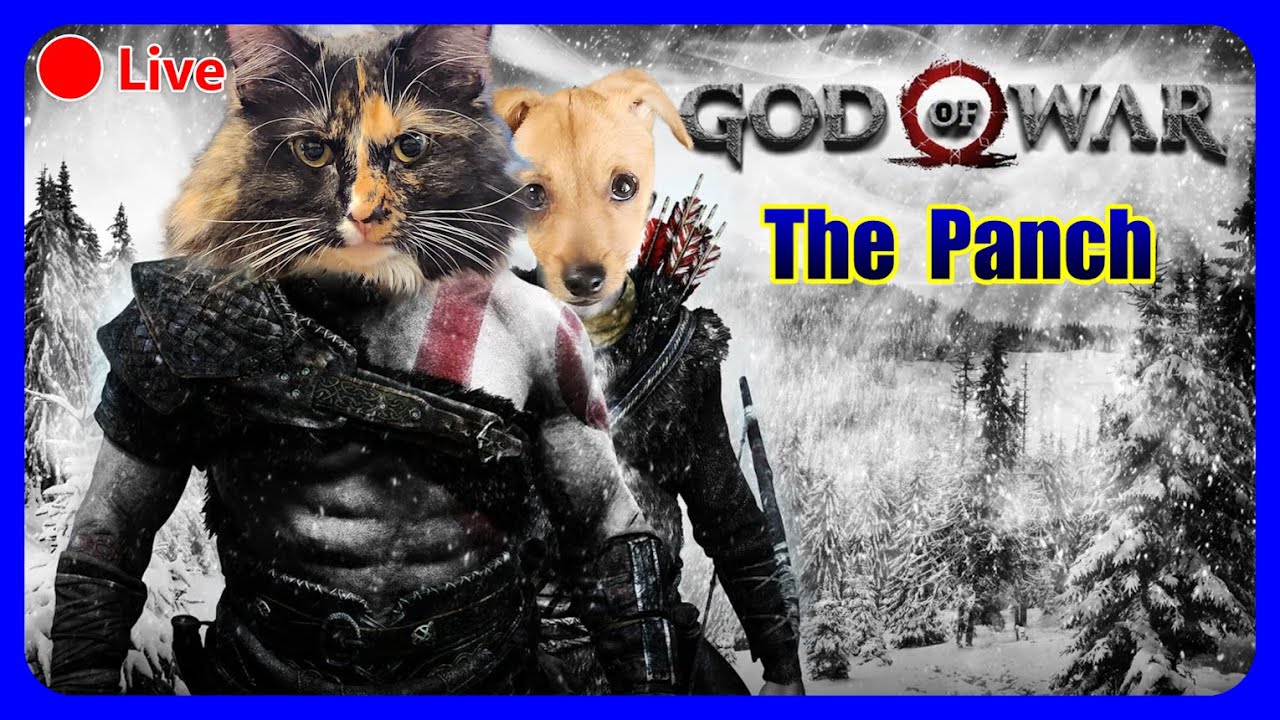 🔴Live | It just gets easier from here, right? GMGOW