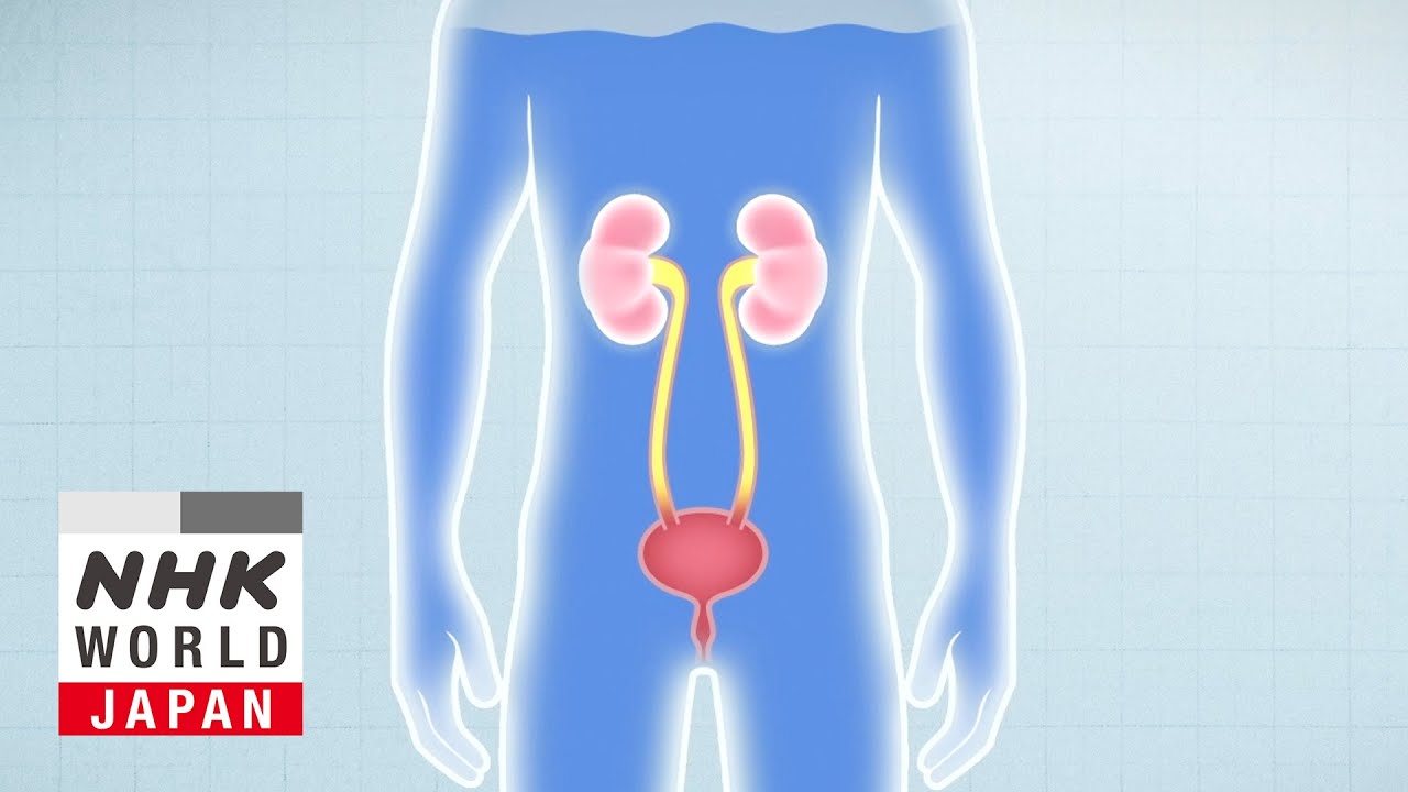 Preventing Life-Threatening Chronic Kidney Disease - Medical Frontiers