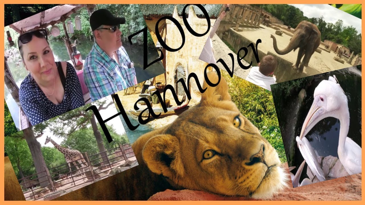 Zoo Hannover | Erlebnis Zoo 🐘 Böse Blicke vom Gorilla ! Mai 2018