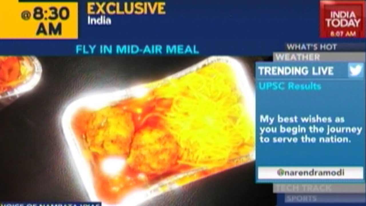 Fly Found In Air India Flight Meal: Air India Denies Incident