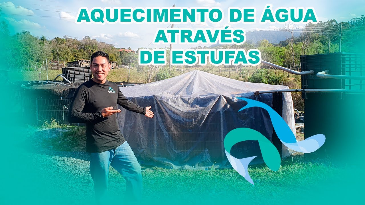 Como esquentar a água na aquicultura? Aquecimento de água através de estufas! - vídeo 165