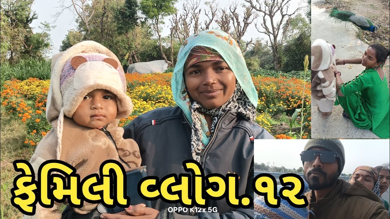  ફેમિલી વ્લોગ. ૧૨ !! Family vlog 12 !! Gujarati vlogs  jordar video 