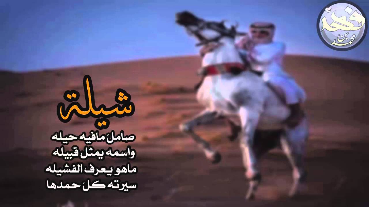 شيلة || صاملً مافيه حيله واسمه يمثل قبيله || أداء: محمد آل نجم نسخة أصلية كاملة #طرب  المناهيل