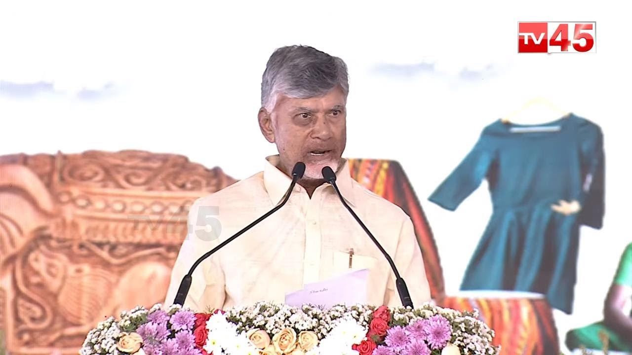 CM Chandrababu Naidu at the inauguration of Saras Mela | CM Chandrababu LIVE |  #tv45
