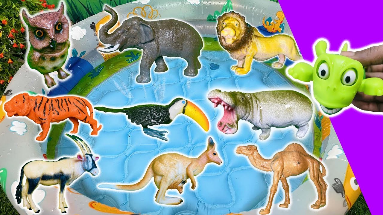 Learn Animal Names for Kids! | Lion, Giraffe, Kangaroo, Panda, Zebra & More!