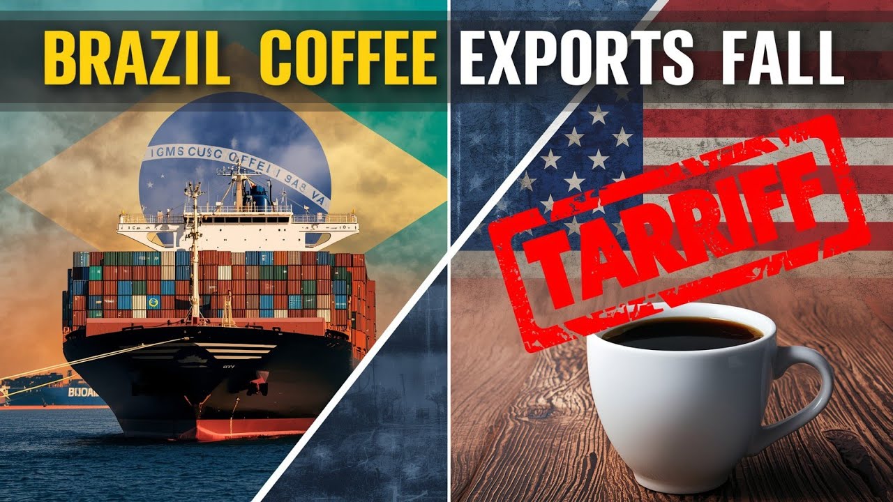 Brazil Coffee Exports to US Fall | Tariffs Threaten Global Coffee Trade