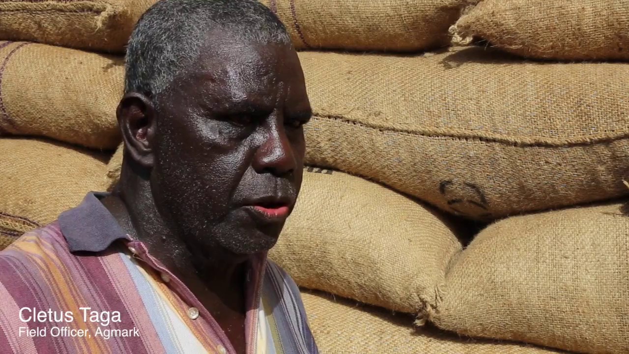 Roads to a brighter economic future for Bougainville