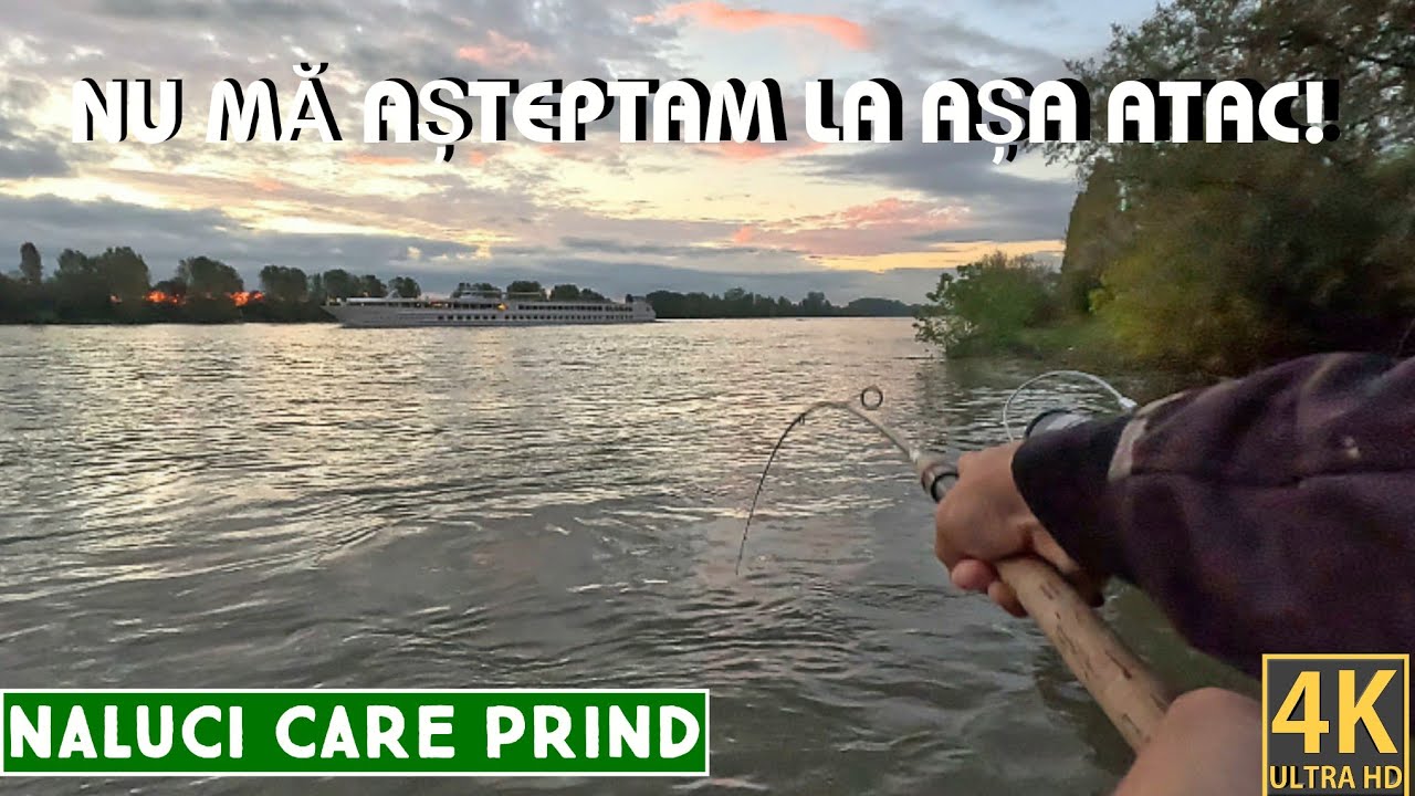 Pescuit la spinning la avat | Captură mare + test năluci noi 🎣 #avat #spinning #pescuitlaspinning