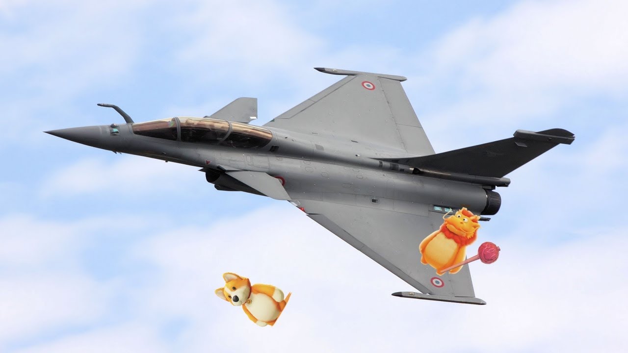 Get of my plane! (party animals)