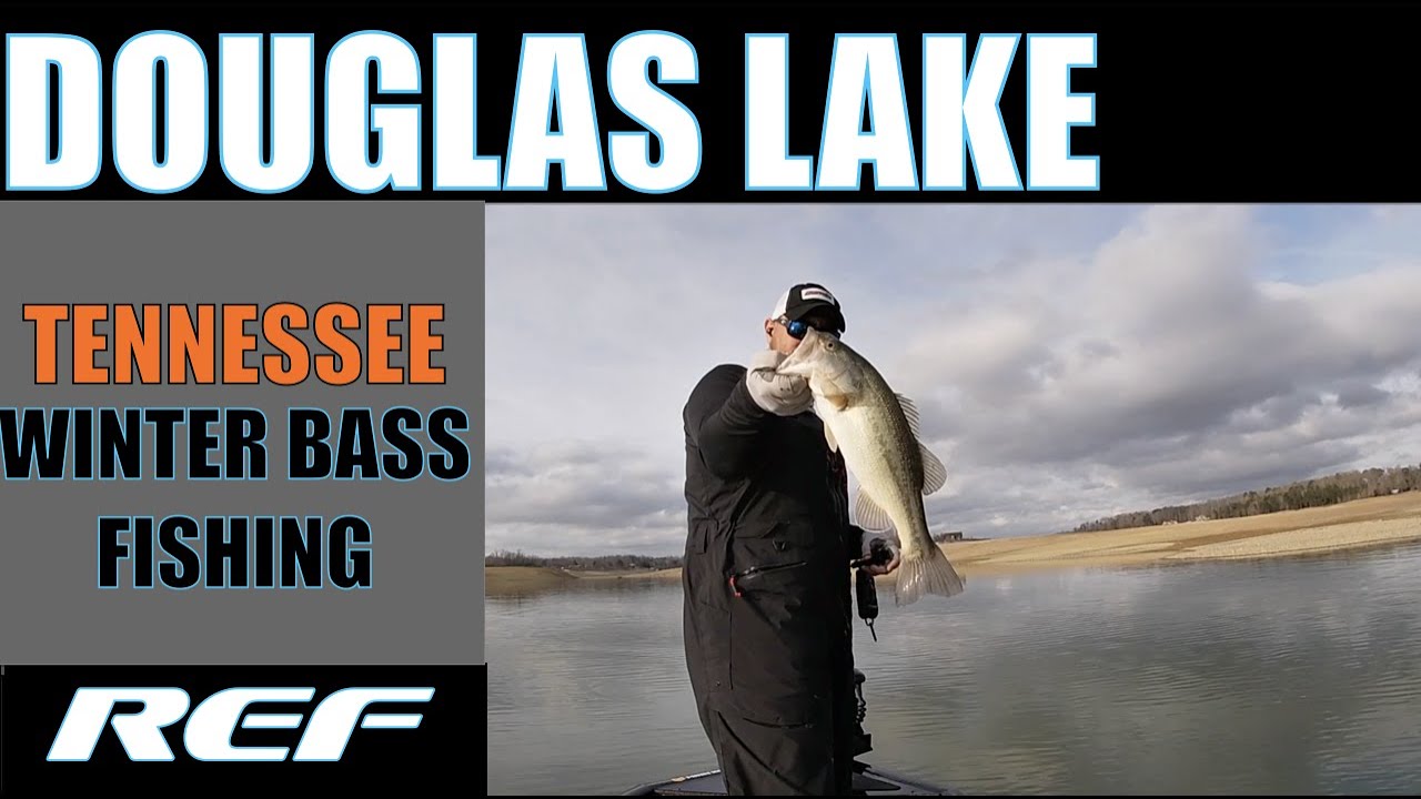 DOUGLAS LAKE: Warm Weather Winter BASS Fishing