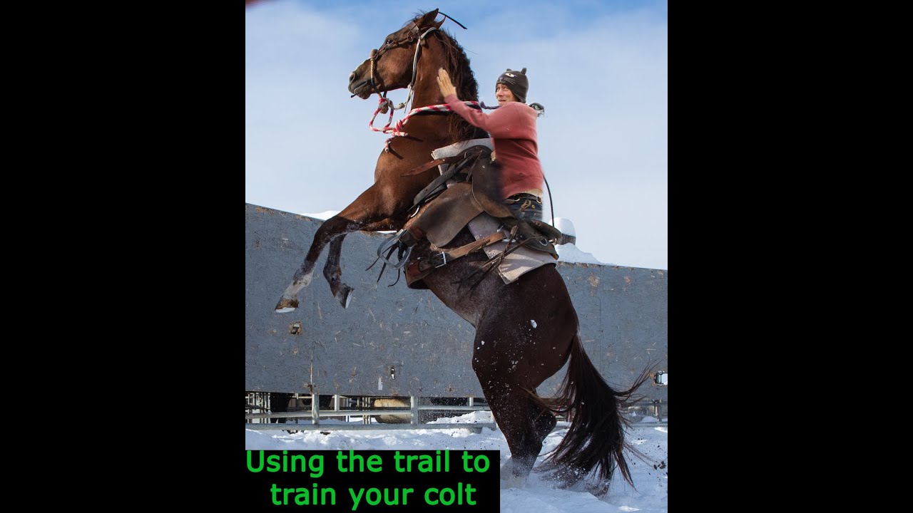 Bret Goes Trail Riding: How to use Natural Terrain to Train Your Colt