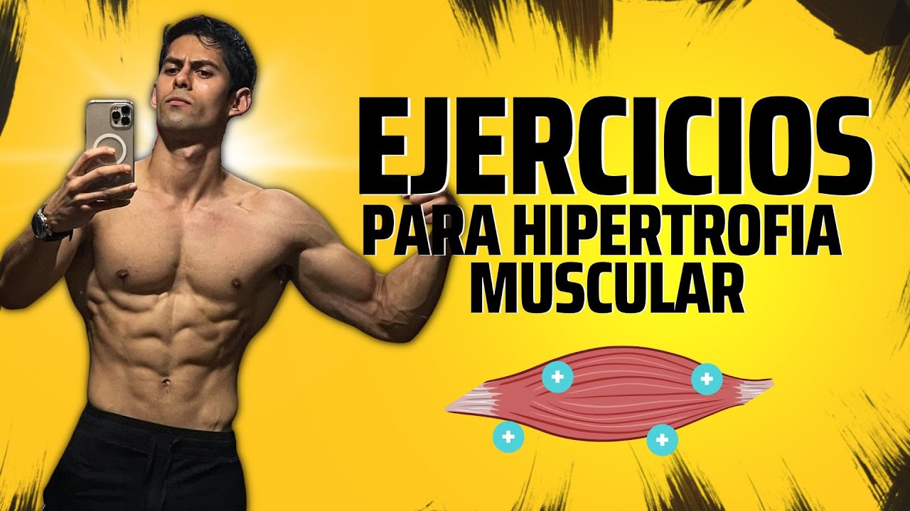 EJERCICIOS PARA HIPERTROFIA MUSCULAR