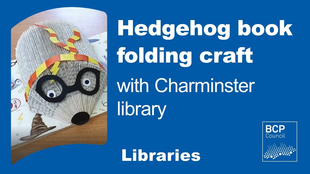 Hedgehog Book Folding Craft with Charminster Library
