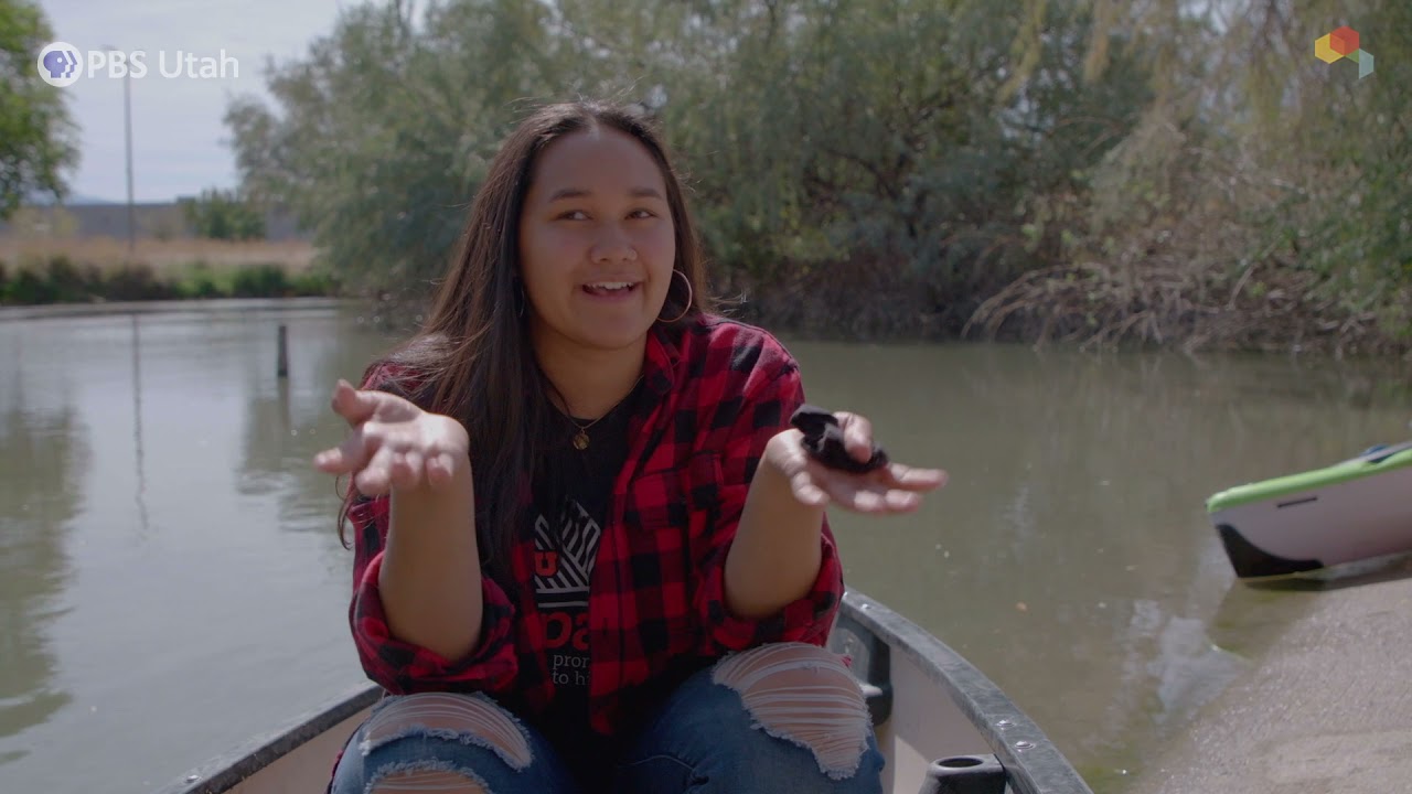 Jordan River Sweep | This Is Utah