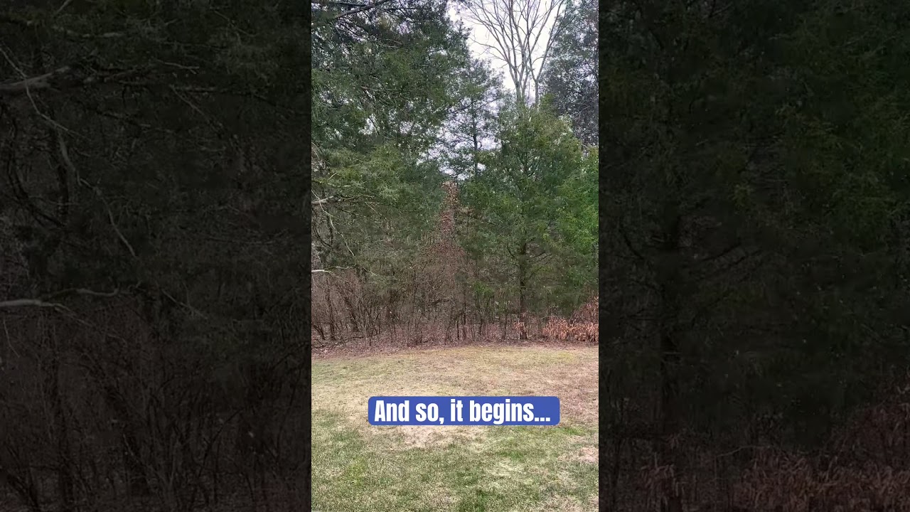 Snowpocalypse starting #snow #snowfall #snowpocalypse