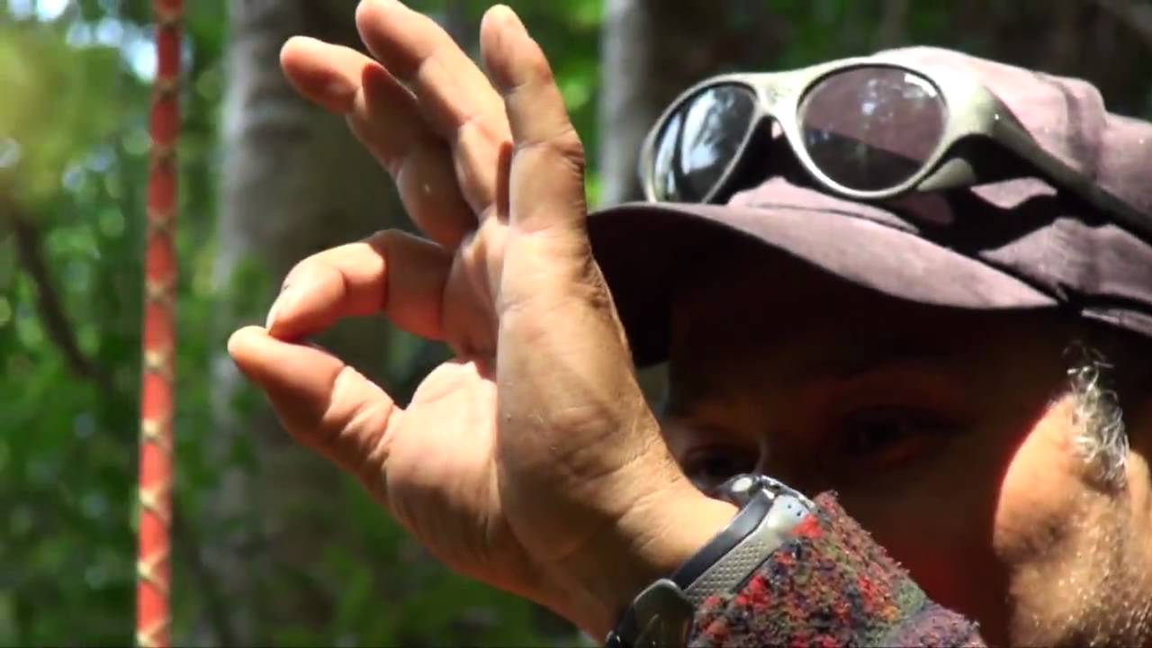 SPOT SERNATUR xregion