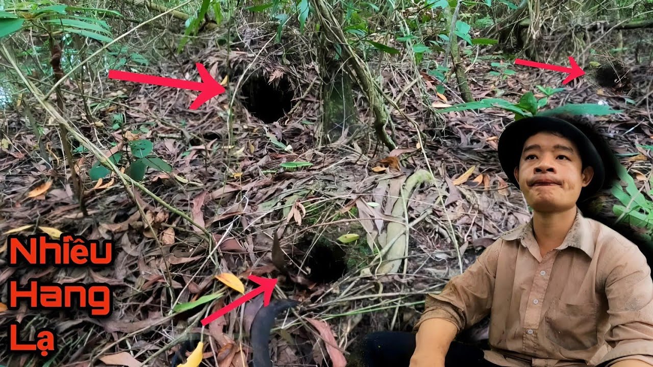 Không biết trong mấy cái hang khổng lồ này có những con gì đang ở bên trong